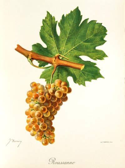 عنب روزان من تأليف جي ترونسي بواسطة جول ترونسي