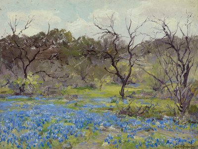 أوائل الربيع - Bluebonnets و Mesquite بواسطة جوليان اوندرونك