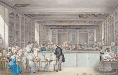 مدرسة بيير جوزيف Redouté للرسم النباتي في Salle Buffon في Jardin des Plantes ، 1830 (مرحاض وجرافيت على ورق) بواسطة جولي ريبولت