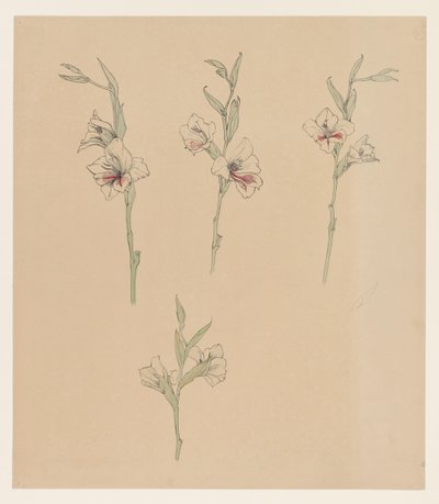 دراسات الزهور بواسطة جولي دي جراج