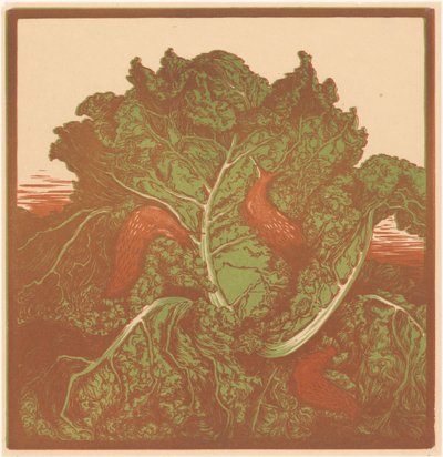 ثلاث بزاقات على ملفوف بواسطة جولي دي جراج