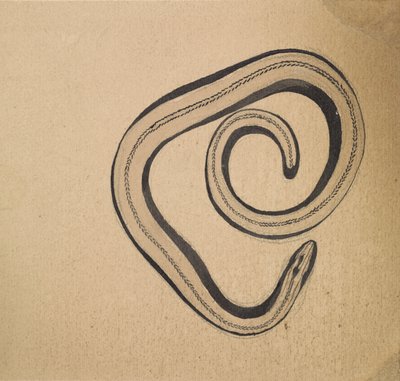 دودة البندق بواسطة جولي دي جراج