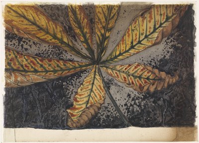 أوراق الكستناء بواسطة جولي دي جراج