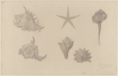 ورقة دراسة مع قذائف بواسطة جولي دي جراج