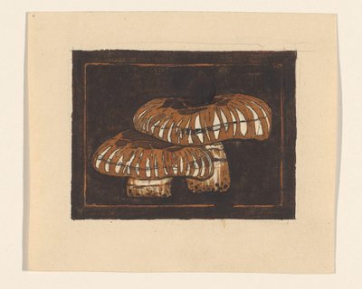 فطران بواسطة جولي دي جراج