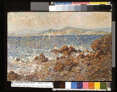 كان (زيت على خشب) بواسطة جوليان جوستاف جاجليارديني