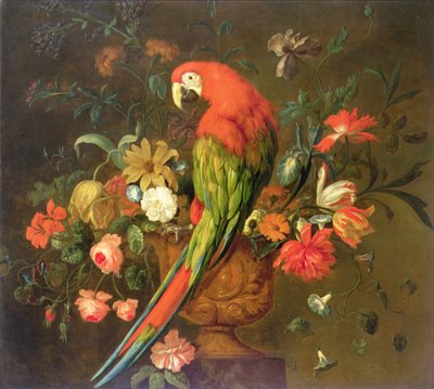 الببغاء القرمزي يطفو على جرة منحوتة بالزهور (زيت على قماش) بواسطة Justus van Huysum