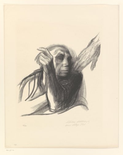 Käthe Kollwitz كإمرأة عجوز مع يدا على كتف روف دي تودس (العنوان الأصلي) الموت (عنوان المسلسل) Tod (عنوان المسلسل الأصلي) بواسطة Käthe Kollwitz (توقيع الفنان)
