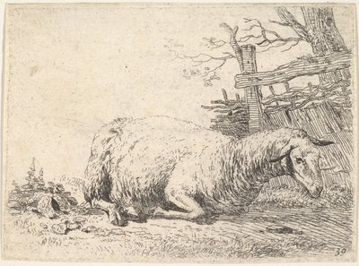 خروف مستلقي مع ساقيه مطوية تحت جسمه بجوار سياج خشبي ، وهي ... ، كاليفورنيا. 1655. بواسطة كاريل دو جاردين