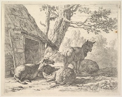 أربعة خروف ، خروف واحد من بين ثلاثة خروف ملقى على الأرض بجانب سقيفة مع ... ، 1658. بواسطة كاريل دو جاردين