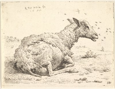 خروف مجزأ جزئياً ملقى في العشب مع حشرات تحوم حول رأسه ، 1655. بواسطة كاريل دو جاردين