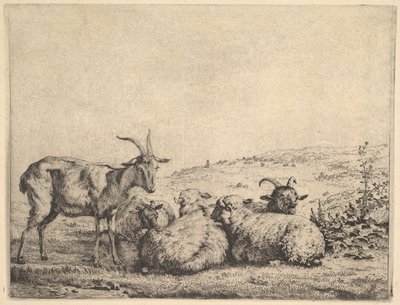ماعز وثلاث خراف ، 1655. بواسطة كاريل دو جاردين
