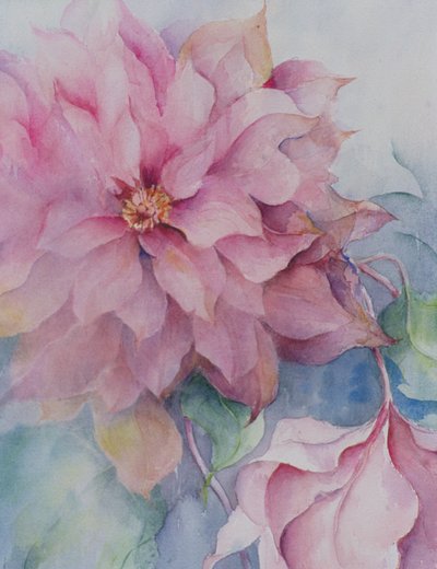 Clematis Vyvyan Penell بواسطة كارين أرميتاج