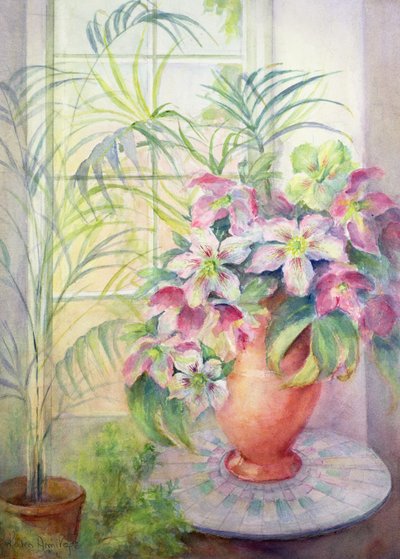 Hellebores على طاولة إيطالية بواسطة كارين أرميتاج