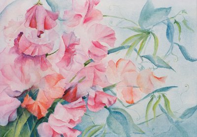 Lathyrus Odoratus ، البازلاء الحلوة (أفقية) بواسطة كارين أرميتاج