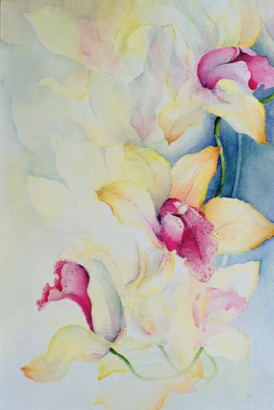 الأوركيد ، Cymbidium ، الأمير تشارلز بواسطة كارين أرميتاج