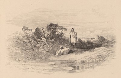 مالك الحزين. بواسطة كارل بودمر