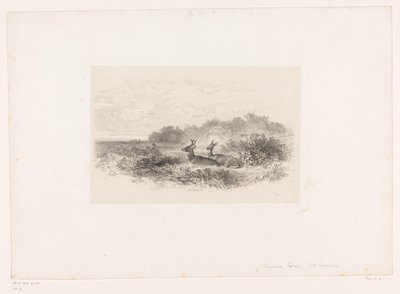 منظر طبيعي مع اثنين من الغزلان ذات الذيل الأبيض المناظر الطبيعية مع الحيوانات (عنوان السلسلة) بواسطة كارل بودمر