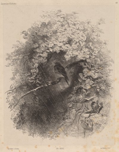 مأوى ، 1858. بواسطة كارل بودمر