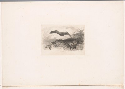 نسر طائر المناظر الطبيعية مع الحيوانات (عنوان السلسلة) بواسطة كارل بودمر
