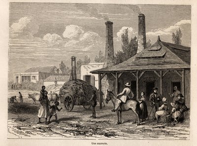 مصنع سكر من Riviere du Rempart ، في موريشيوس ، رسمه كارل جيرارديت (1813-1871) ، لتوضيح إقامة ألفريد فيرني في موريشيوس عام 1861. نقش في "Le tour du monde" ، تحرير إدوارد شارتون بواسطة كارل جيرارديت