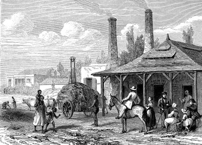 مصنع السكر في موريشيوس عام 1863. Le T du Monde Paris 1863 Publisher بواسطة كارل جيرارديت