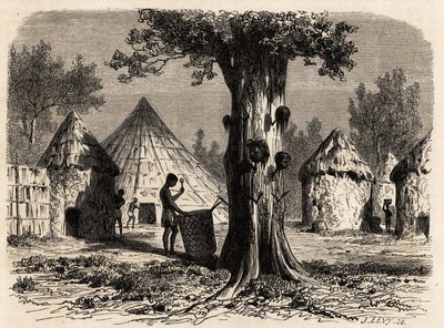 شجرة الحرب ، في قرية دجور ، منطقة بحر الغزال ، السودان ، رسمها كارل جيرارديت (1813-1871) لتوضيح الرحلة إلى نهر غزال بولونيسي ، 1856-1857. نقش في "" Le Tour du monde "، تحرير إدوارد شارتون بواسطة كارل جيرارديت