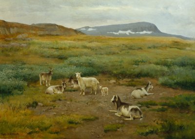 الماعز على العشب بواسطة Karl K. Uchermann