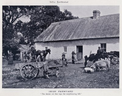 Irish Farmyard (b/w photo) بواسطة كارل كارلوفيتش بيراتسكي