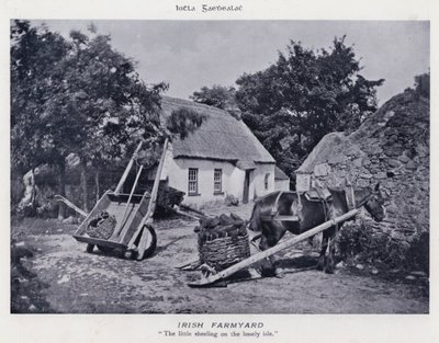 Irish Farmyard (صورة b / w) بواسطة كارل كارلوفيتش بيراتسكي