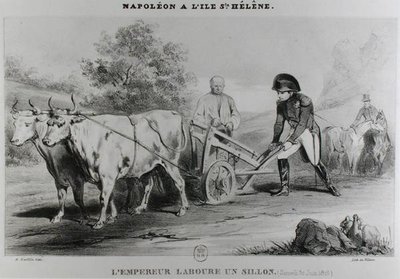 نابليون (1769-1821) في سانت هيلانة ، نقشها فرانسوا لو فيلان (fl.1819-22) بواسطة كارل بعد Loeillot Hartwig