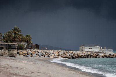  بواسطة كاثا وود