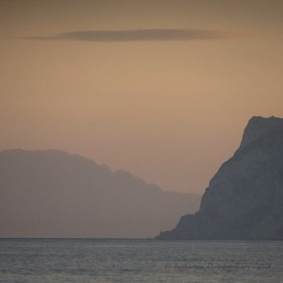  بواسطة كاثا وود