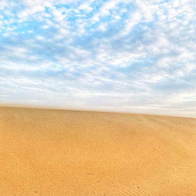  بواسطة كاثا وود