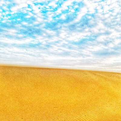  بواسطة كاثا وود