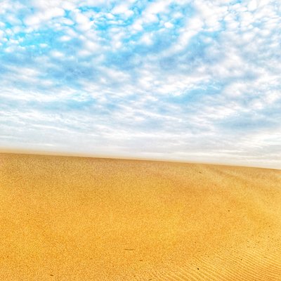  بواسطة كاثا وود