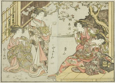 Courtesans of the Asahimaruya ، من كتاب "Mirror of Beautiful Women of the Pleasure Quarters (Seiro bijin awase sugata kagami)" المجلد. 1 بواسطة كاتسوكاوا شونشو