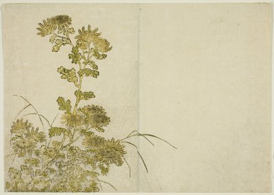 زهور الشتاء: الأقحوان ، من كتاب "مرآة النساء الجميلات في أحياء المتعة (Seiro bijin awase sugata kagami)" المجلد. 1 بواسطة كاتسوكاوا شونشو