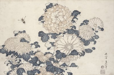 النحلة والأقحوان ، من سلسلة "Big Flowers" (طبعة خشبية ملونة) بواسطة كاتسوشيكا هوكوساي