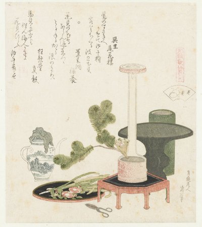 قذيفة زهرة Hanagai (العنوان على الكائن) مقارنة بين قصائد Genroku وقذائف (عنوان السلسلة) Genroku kasen kaiawase (عنوان السلسلة على الكائن) بواسطة تاتسومي نو ساتو بيكارو