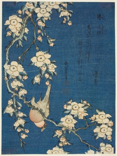 Bullfinch و Weeping Cherry (Uso ، shidarezakura) ، من سلسلة غير معنونة من الزهور والطيور بواسطة كاتسوشيكا هوكوساي