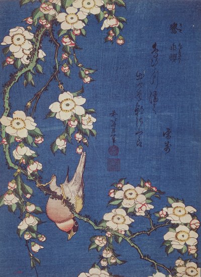 بولفينش وبكاء شجرة الكرز ، حانة. c.1834 (طباعة لوح خشبي ملون) بواسطة كاتسوشيكا هوكوساي