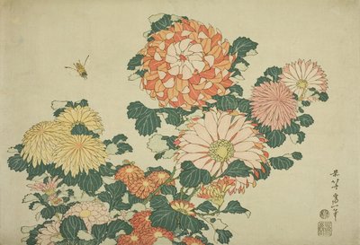 الأقحوان والنحل ، من سلسلة بلا عنوان من الزهور الكبيرة ، 1833-34 بواسطة كاتسوشيكا هوكوساي