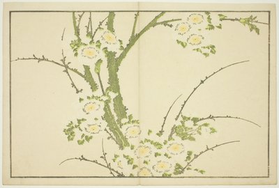 الزهور ، من الكتاب المصور للوحات الواقعية لهوكوساي (Hokusai shashin gafu) بواسطة كاتسوشيكا هوكوساي
