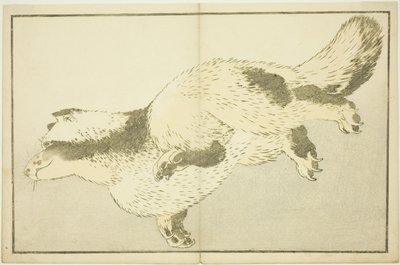 فوكس ، من الكتاب المصور للوحات الواقعية لهوكوساي (Hokusai shashin gafu) بواسطة كاتسوشيكا هوكوساي