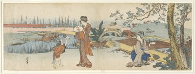 بائع السمكة الذهبية ، 1801-1805 بواسطة كاتسوشيكا هوكوساي