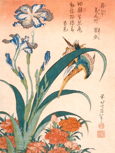Kingfisher، Irises and Pinks ، نُشر عام 1834. بواسطة كاتسوشيكا هوكوساي