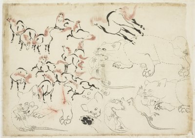 دراسات للخيول والقطط والجرذان (من "Hokusai Manga") ، حوالي 1815-1849 (حبر ولون على ورق) بواسطة كاتسوشيكا هوكوساي