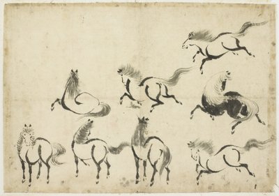 دراسات على الخيول حوالي 1815-1849 (حبر على ورق) بواسطة كاتسوشيكا هوكوساي