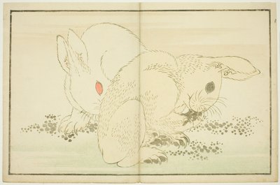 أرنبان ، من الكتاب المصور للوحات الواقعية لهوكوساي (Hokusai shashin gafu) بواسطة كاتسوشيكا هوكوساي